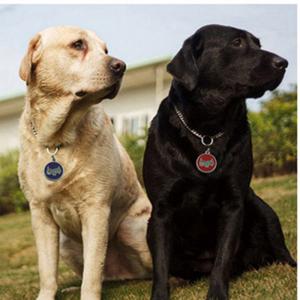 2018 Hot Sale Honden- of katten-ID Tags Gegraveerde of QR-code Huisdier Tag