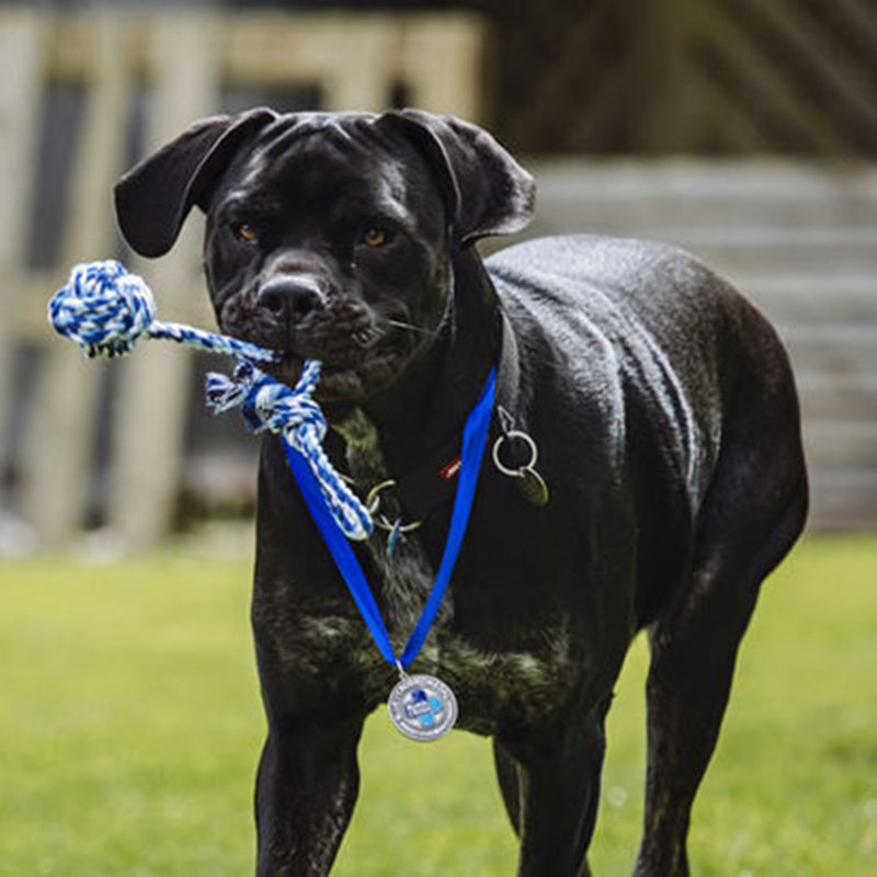 1636152844698756.jpg lemmy-5-1368881.jpg