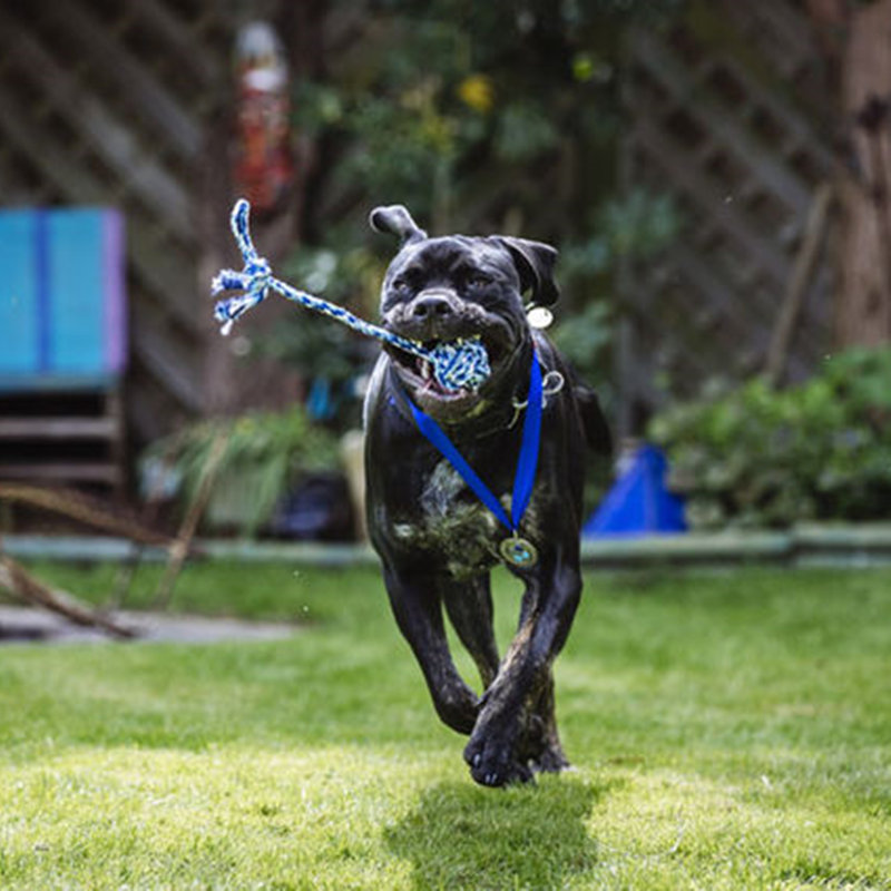 1636152844701430.jpg Lemmy-6-1368884.jpg