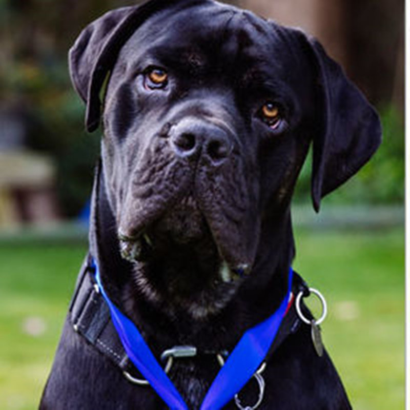 1642152844735365.jpg UK-1368873.jpg