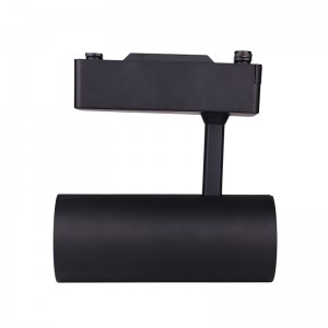 Aluminium flexibele rupsverlichting COB led-spot rupslicht met driverbox