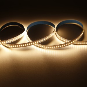 12V SMD2216 Kleurtemperatuur instelbare LED-strip Tweekleurige LED flexibele strips 2 kleuren WW NW CW kleuren Verstelbare LED-streep