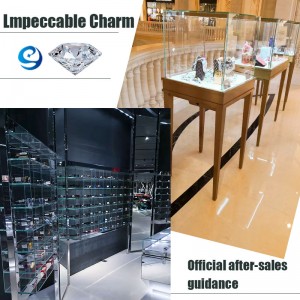 Personaliseer sieraden display set luxe vitrinekast en showcase voor juwelierszaak