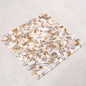 Nieuwe zwarte dweilzeeschelpmozaïektegel in maat 10 * 20 mm