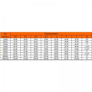 UPVC VROUWELIJKE ADAPTER