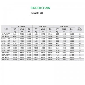 G70 Binder Chain met 2 Clevis grijphaak