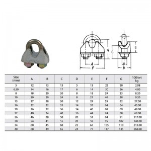 DIN 1142 Gegalvaniseerde smeedbare draadklem