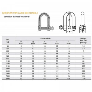 Europese Type Gegalvaniseerde Grote Dee-sluiting