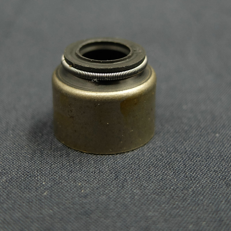 Auto Engine Valve seal voor Vechile