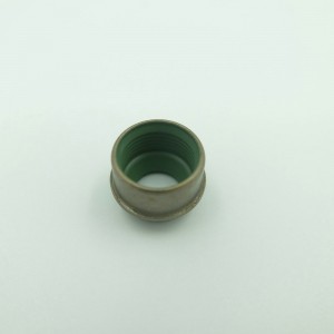 Hittebestendige Viton-rubberen oliekeerring Ventielafdichting voor Santana-auto's