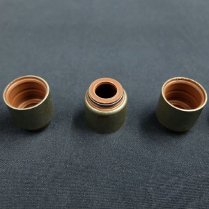 China-leverancier Klepsteeloliekeerring voor Renault-auto's