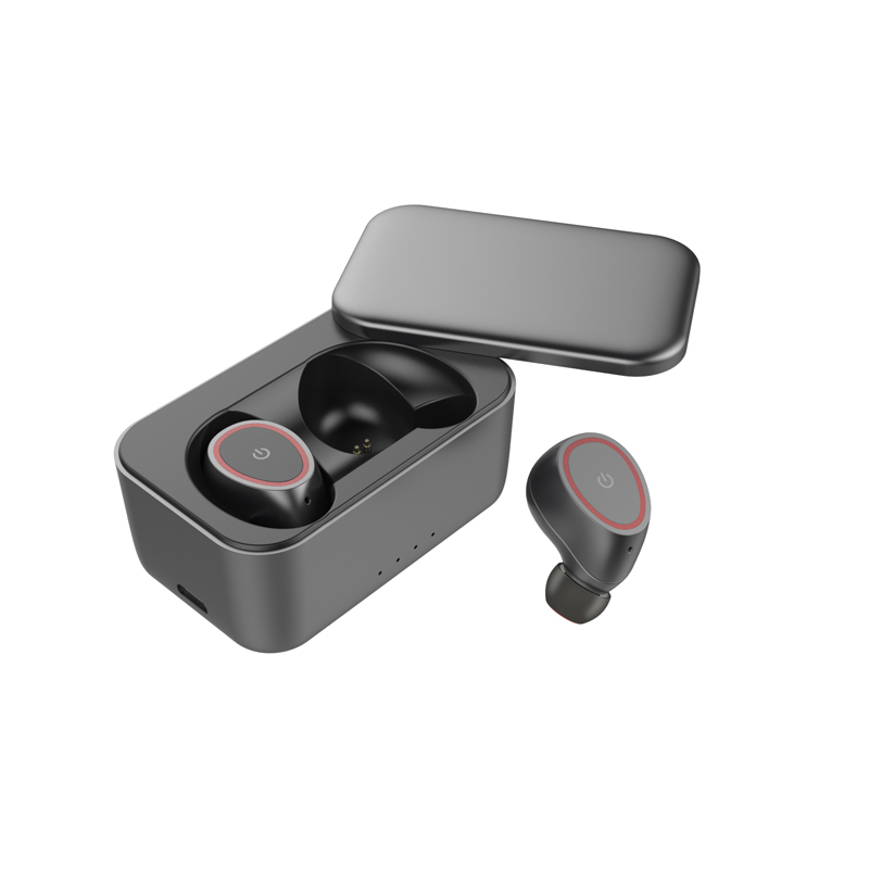 GW12 in-ear vertaler oordopjes met oplaaddoos