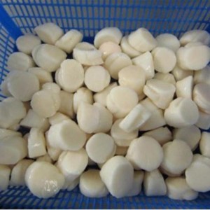 Bevroren zee-coquilles vlees