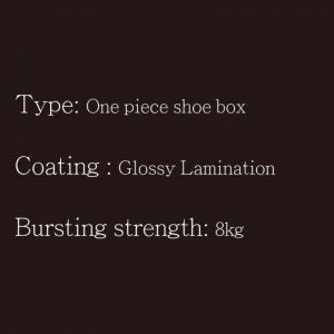 Schoenendoosje stuktype3