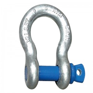 Professionele fabrikant Anchor D Shackle