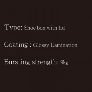 Schoenendoos met dekseltype1