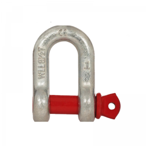 Goede fabrikant Anchor D Shackle