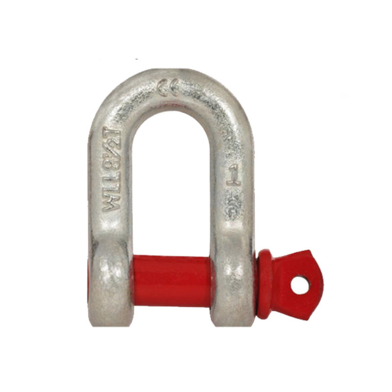 Goede fabrikant Anchor D Shackle