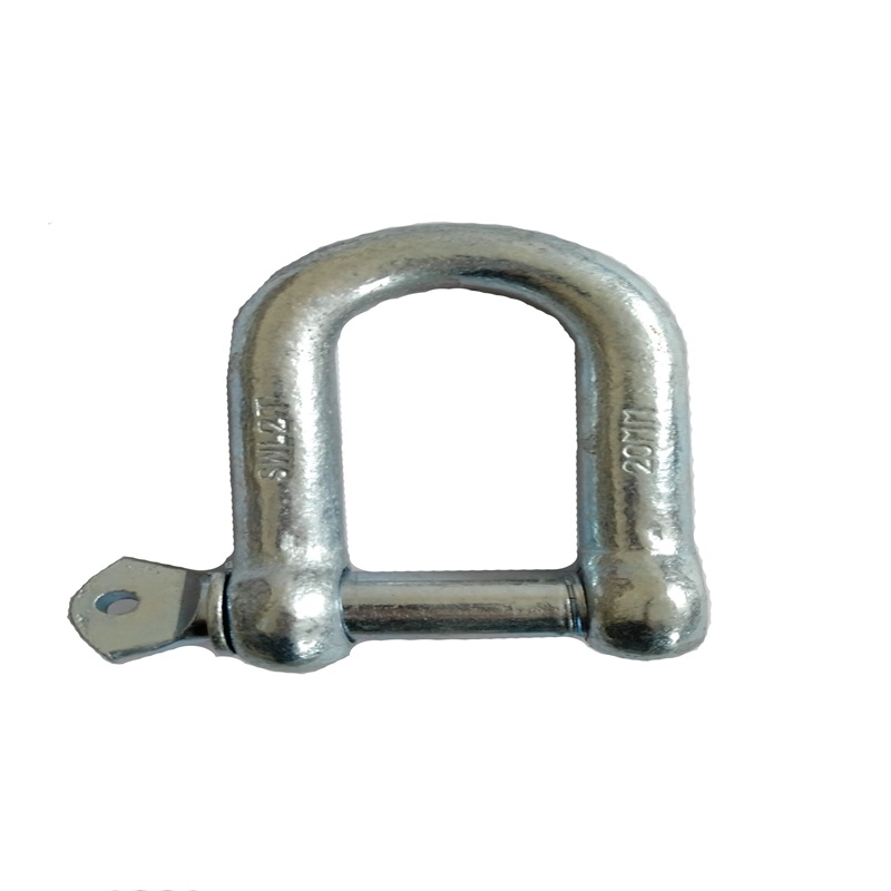 Goede fabrikant Anchor D Shackle