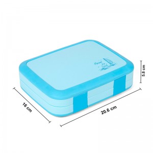 Plastic BPA-vrije lekvrije lunchbox voor Bento-kinderen