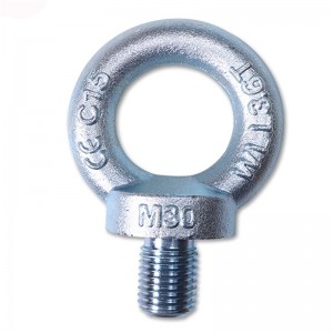 Gegalvaniseerd zink DIN580 M16 Oogbout Schroef Ring-trekbout van bevestiger