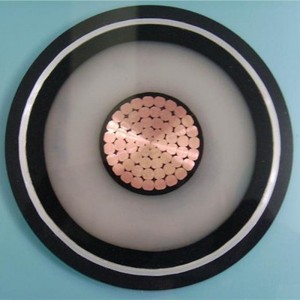 110kv Xlpe HV-voedingskabel Compacte segmentgeleider 1000 mm2