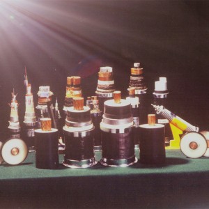 Koper / aluminium 300 mm 400 mm enkele aderige kabel met metalen mantel 220kv 110kv