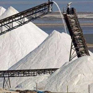 Chemische / zuur / alkalibestendige transportband