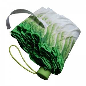 Digitaal geprinte koolgroenteparaplu speciale unieke regenparaplu 3-voudige manueel open paraplu