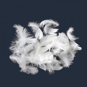 Natuurlijke eend, ganzendons veermateriaal