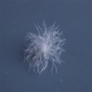 Natuurlijke eend, ganzendons veermateriaal