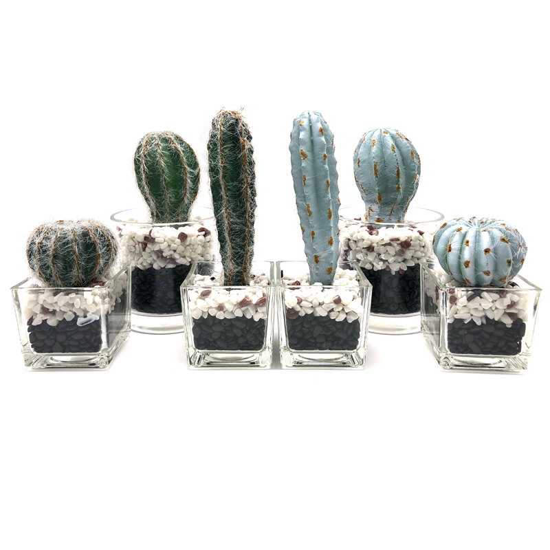 Kunstmatige Cactus in decoratieve glazen pot Faux succulente decoratie voor thuis of op kantoor