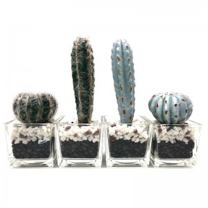 Kunstmatige Cactus in decoratieve glazen pot Faux succulente decoratie voor thuis of op kantoor