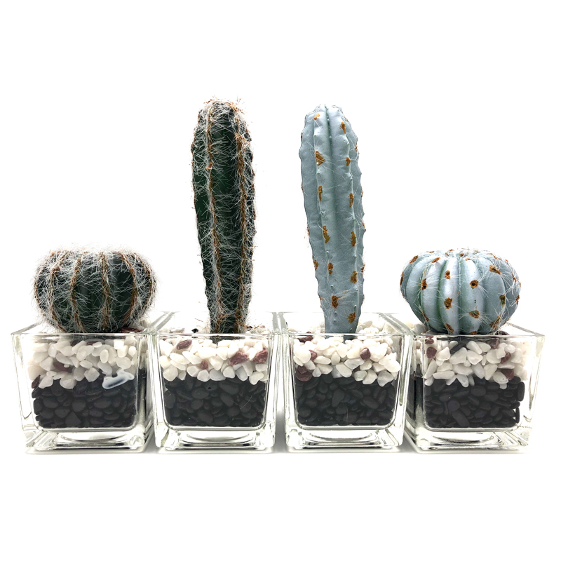 Kunstmatige Cactus in decoratieve glazen pot Faux succulente decoratie voor thuis of op kantoor