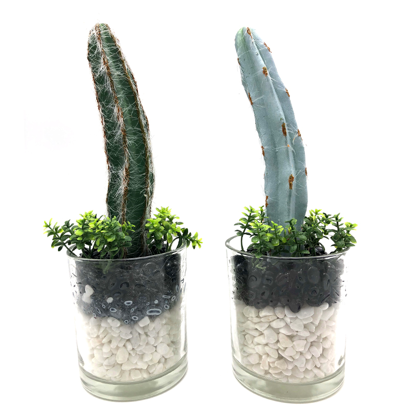 Kunstmatige Cactus in decoratieve glazen pot Faux succulente decoratie voor thuis of op kantoor