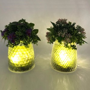 LED glazen tafelblad decoratieve kunstmatige vetplanten met Globe Display vaas