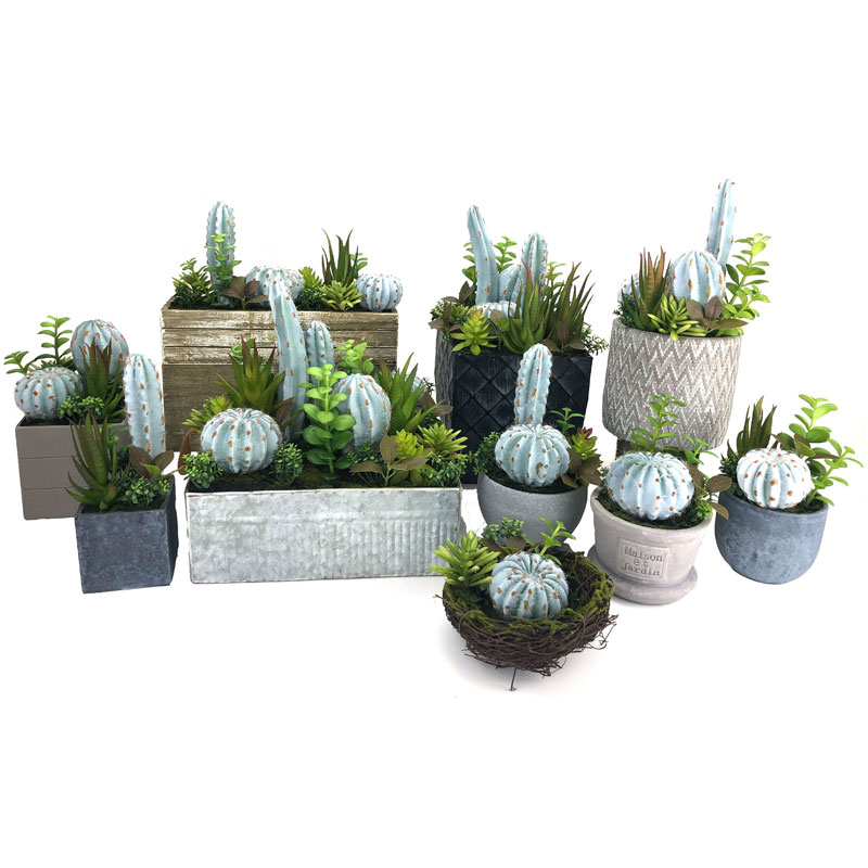 Kunstmatige Cactus Set Voor Thuis Of Kantoor In Decoratieve Succulente Pot