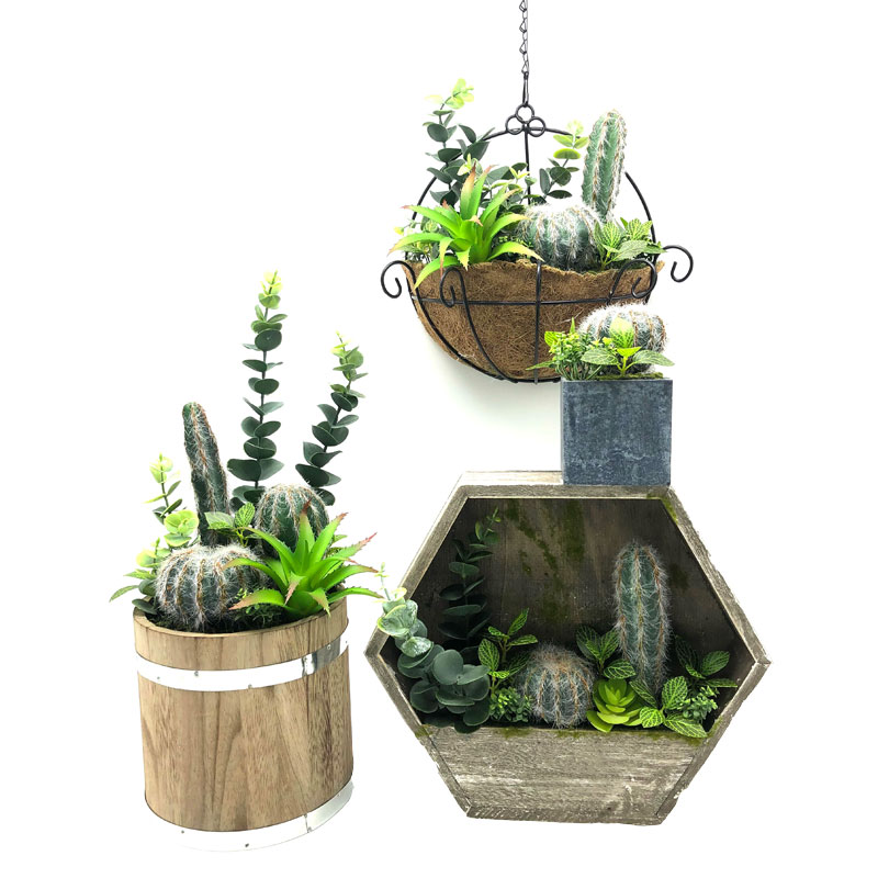 Kunstmatige Cactus Set Voor Thuis Of Kantoor In Decoratieve Succulente Pot