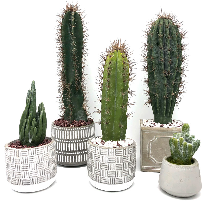 Modern Kunstmatig Cactushuis of Bureau in Decoratieve Pot Succulente Decoratie