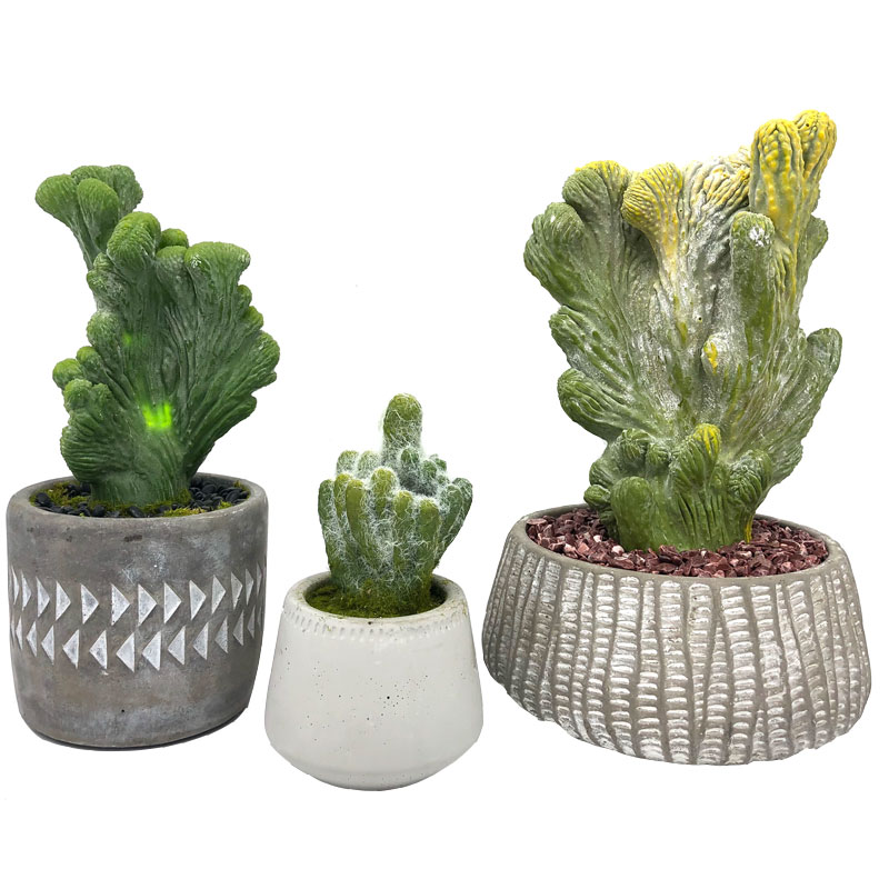 Modern Kunstmatig Cactushuis of Bureau in Decoratieve Pot Succulente Decoratie