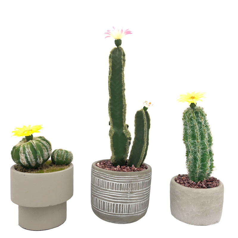 Modern Kunstmatig Cactushuis of Bureau in Decoratieve Pot Succulente Decoratie