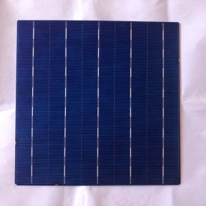 Polykristallijne cel