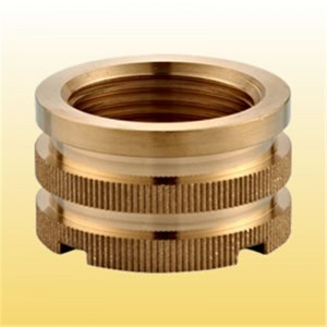 Vrouwelijke inzetstuk