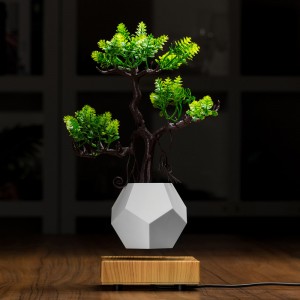 magnetische zwevende bonsai potplanters met zwevende bodemlucht PA-0708
