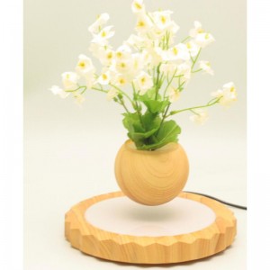 360 roterende magnetische levitatie drijvende lucht bonsai potplant PA-0701
