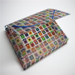 PP-plastic archiefmap met elastiek