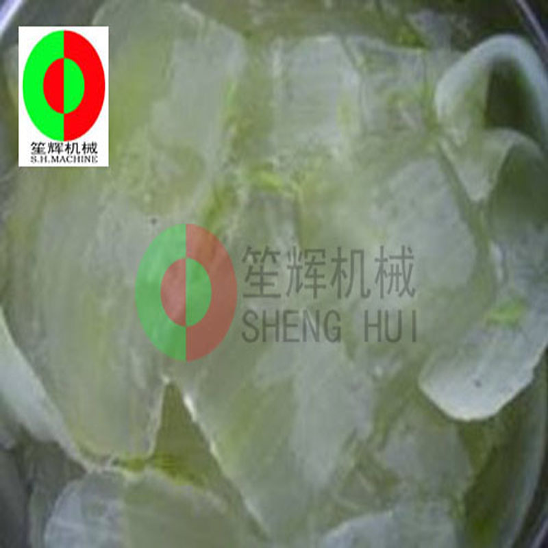 Aloë Cactus Peeling Machine