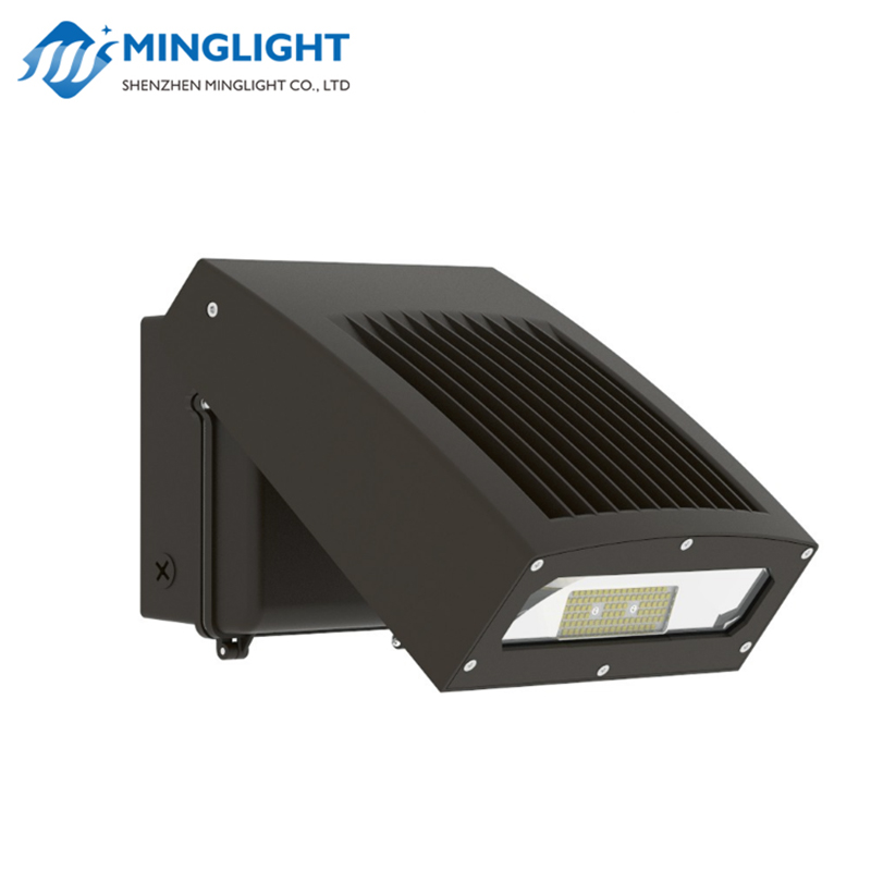 LED Wall Pack Light WPD 30W