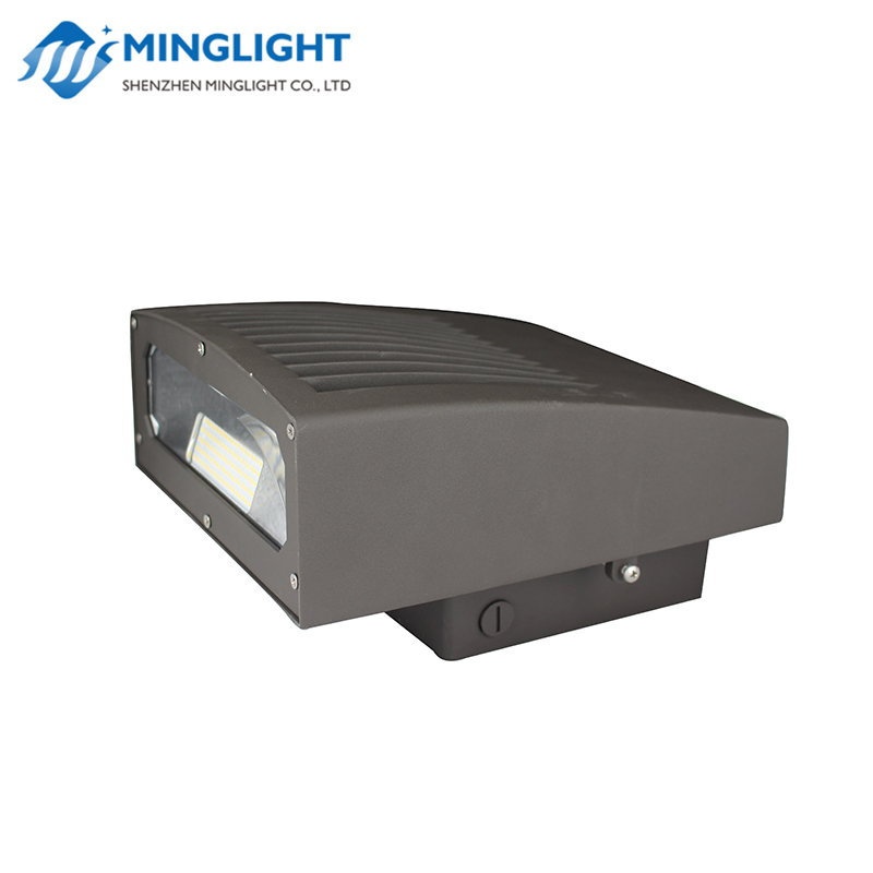 LED Wall Pack Light WPD 60W