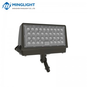 LED Wall Pack Light WPC2 100W